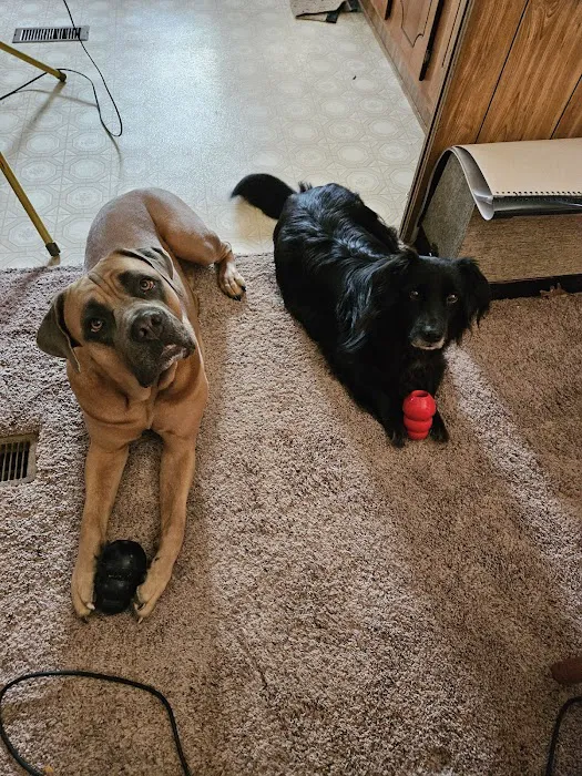 Rolling Hills Veterinary Hospital Picture 5