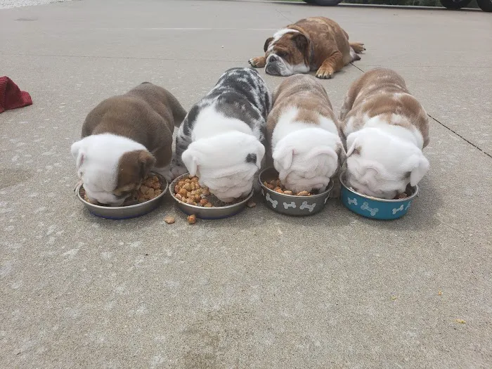 Rolling Hills Veterinary Hospital Picture 6