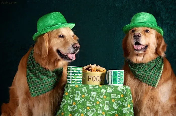 Rolling Hills Veterinary Hospital Picture 10