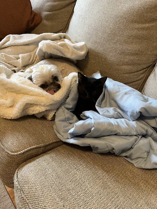 Rolling Hills Veterinary Hospital Picture 9