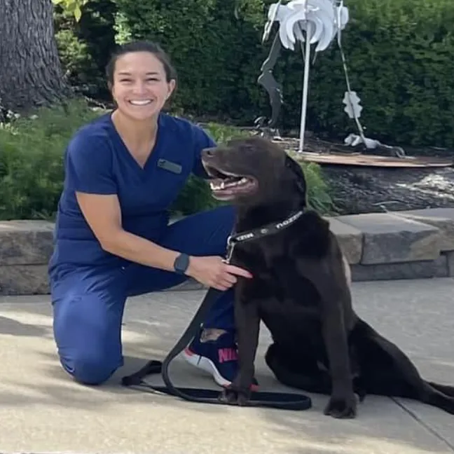 All Creatures Animal Hospital Picture 7