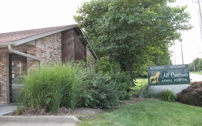 All Creatures Animal Hospital Picture 5