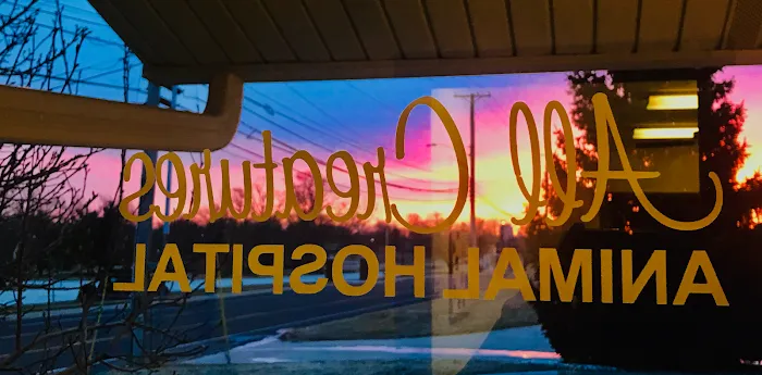 All Creatures Animal Hospital Picture 8