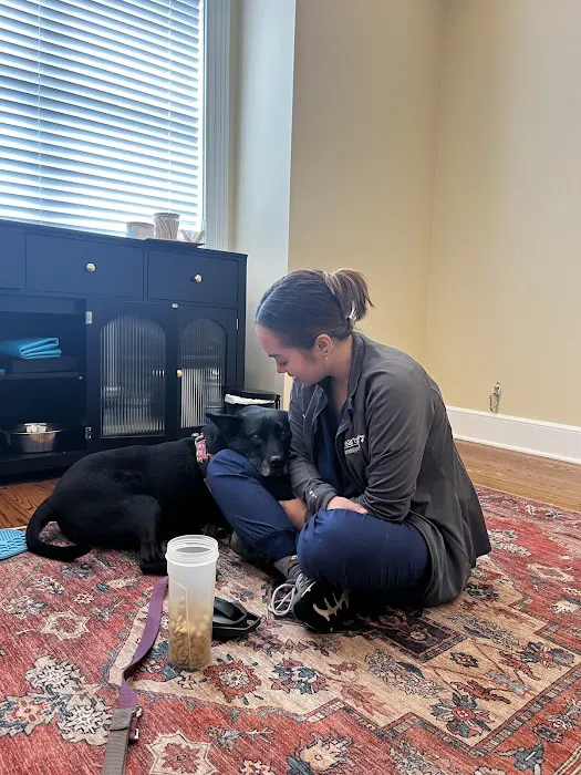 Kindred Veterinary Care Picture 4