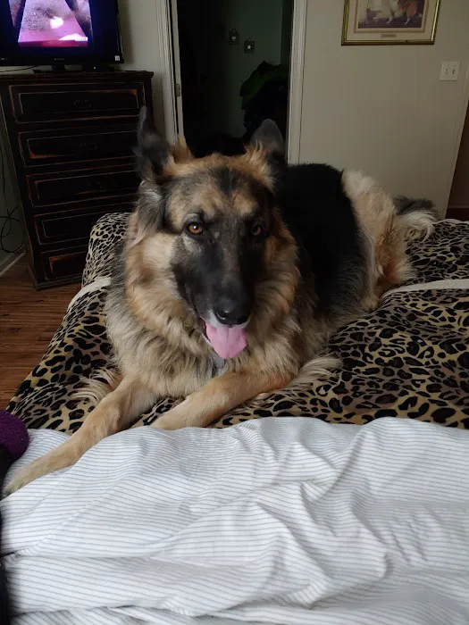 Hussey E S DVM Picture 1