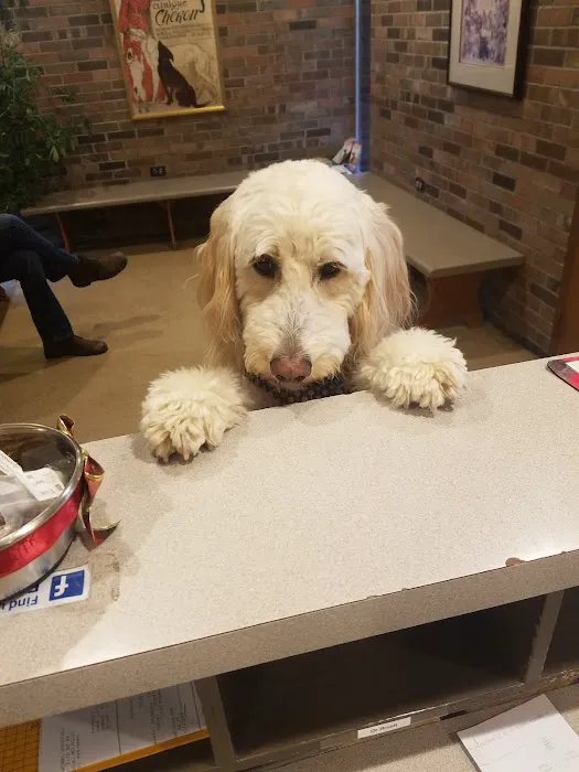 Tiger Town Veterinary Services Picture 2