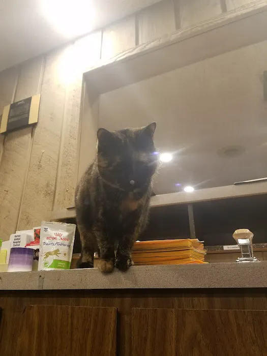 Tiger Town Veterinary Services Picture 1