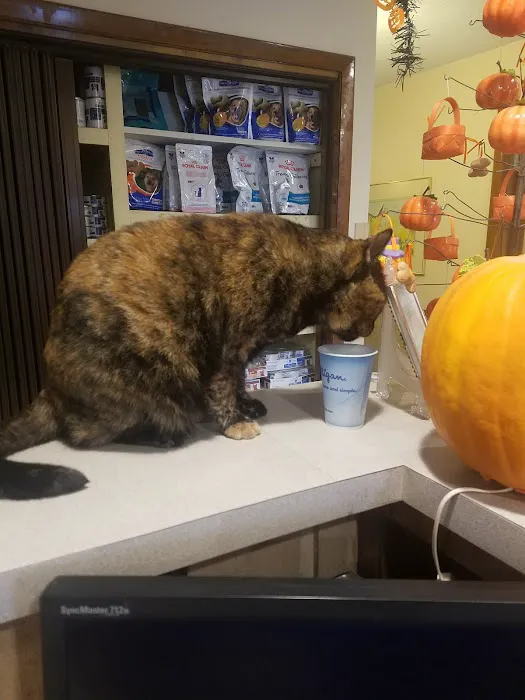 Tiger Town Veterinary Services Picture 4