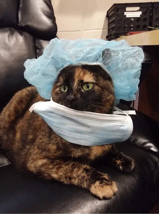 Tiger Town Veterinary Services Picture 9