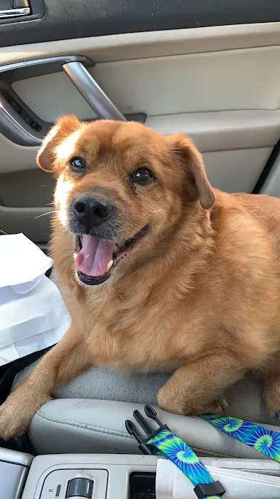 Noah's Ark Animal Hospital & Bird Clinic Picture 1