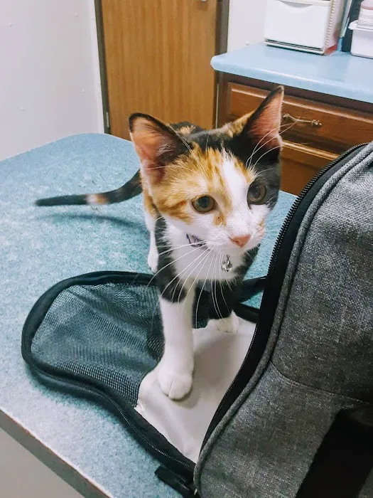 Noah's Ark Animal Hospital & Bird Clinic Picture 2