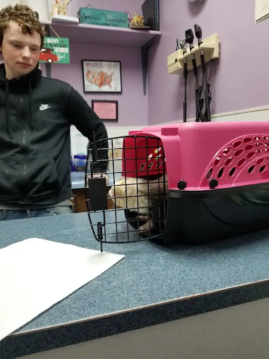 Noah's Ark Animal Hospital & Bird Clinic Picture 5