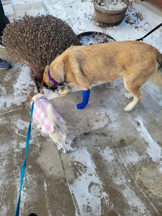 Noah's Ark Animal Hospital & Bird Clinic Picture 9