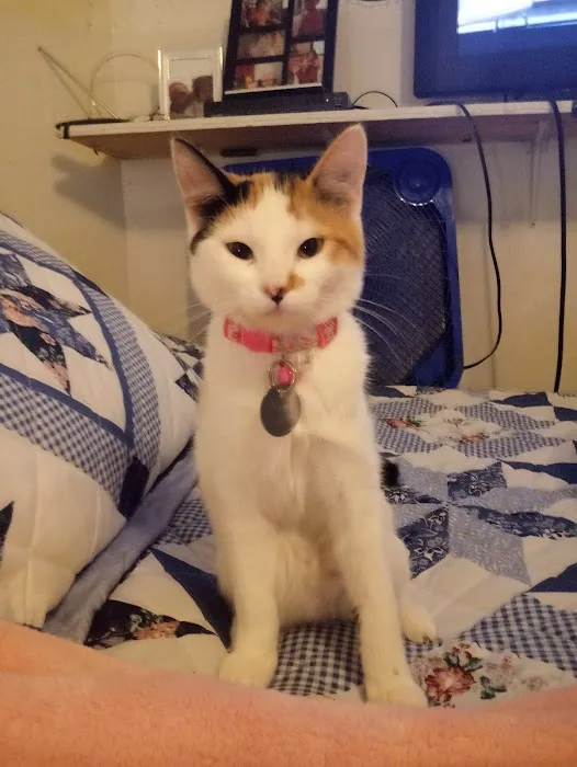 Noah's Ark Animal Hospital & Bird Clinic Picture 7