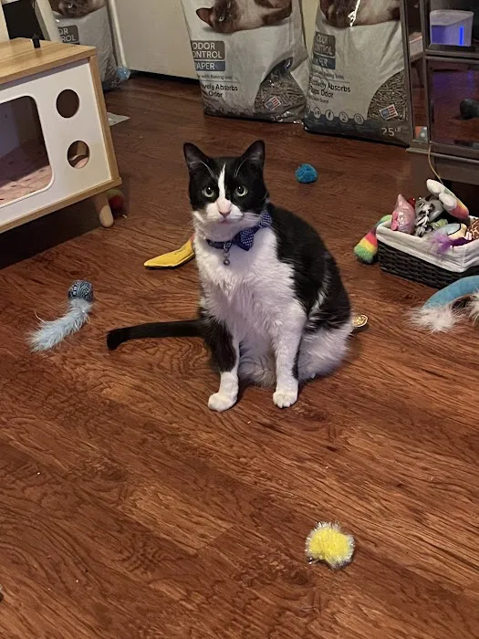 Vetco Total Care Animal Hospital Picture 2