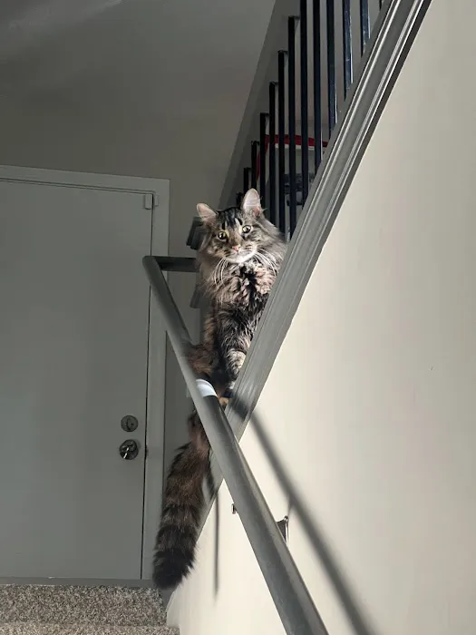 Vetco Total Care Animal Hospital Picture 6