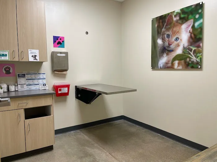 Vetco Total Care Animal Hospital Picture 9