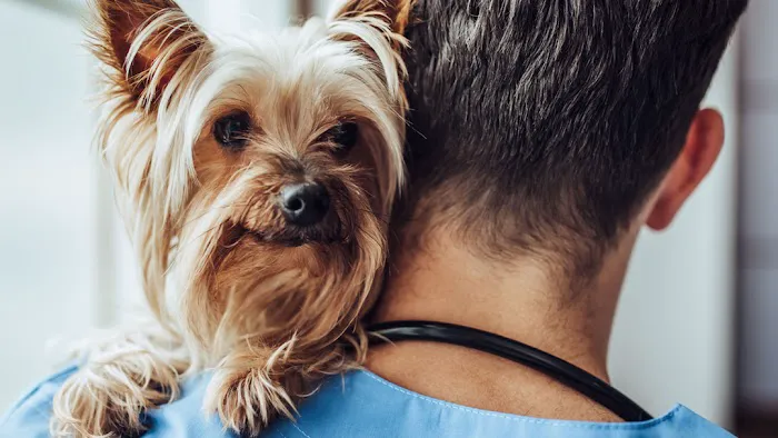 Link Veterinary Clinic Picture 1