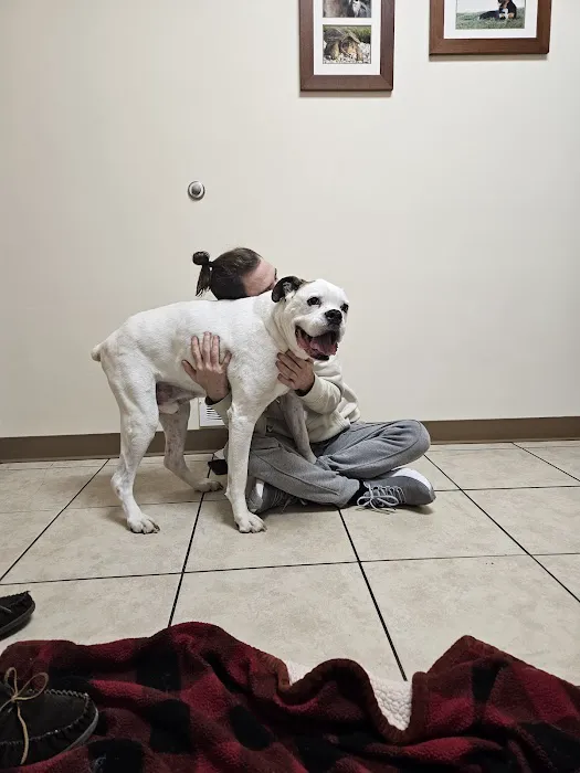 Midwest Veterinary Clinic Picture 8