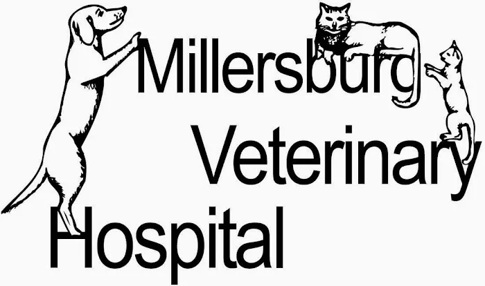Millersburg Veterinary Hospital Picture 3