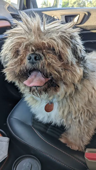 Callaway County Small Animal Veterinary Clinic Picture 4