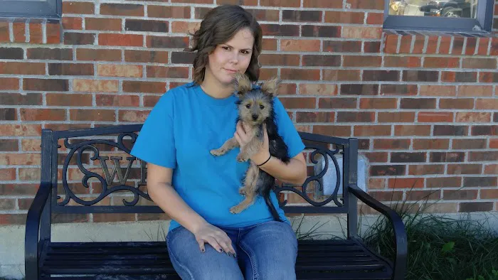 Callaway County Small Animal Veterinary Clinic Picture 10