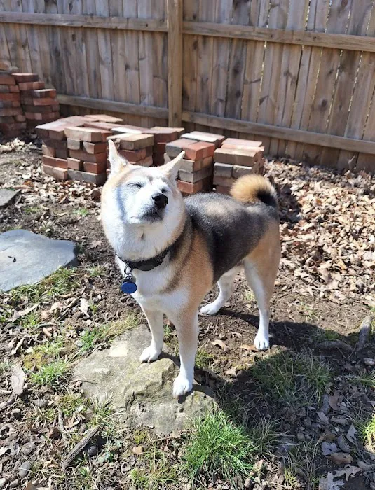 Mizzou Small Animal Hospital Picture 1