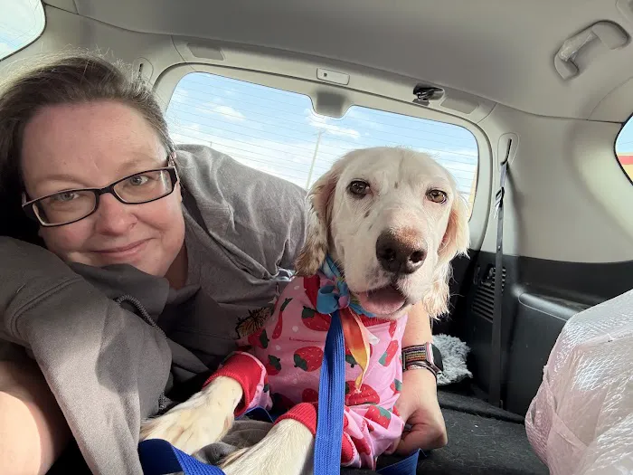 Mizzou Small Animal Hospital Picture 4