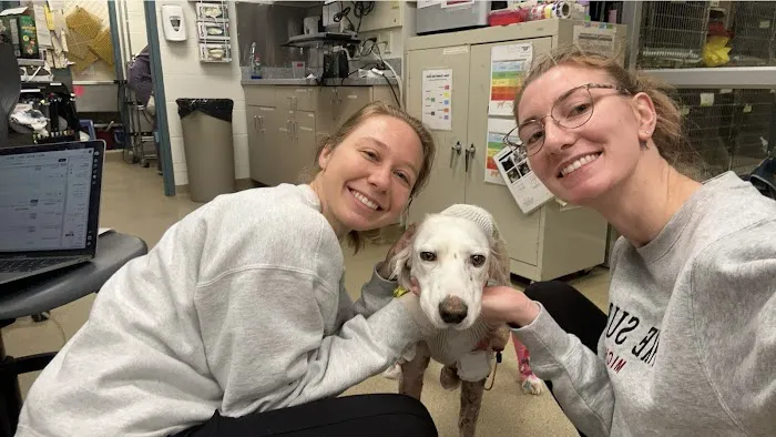 Mizzou Small Animal Hospital Picture 3