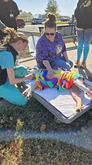 Mizzou Small Animal Hospital Picture 5