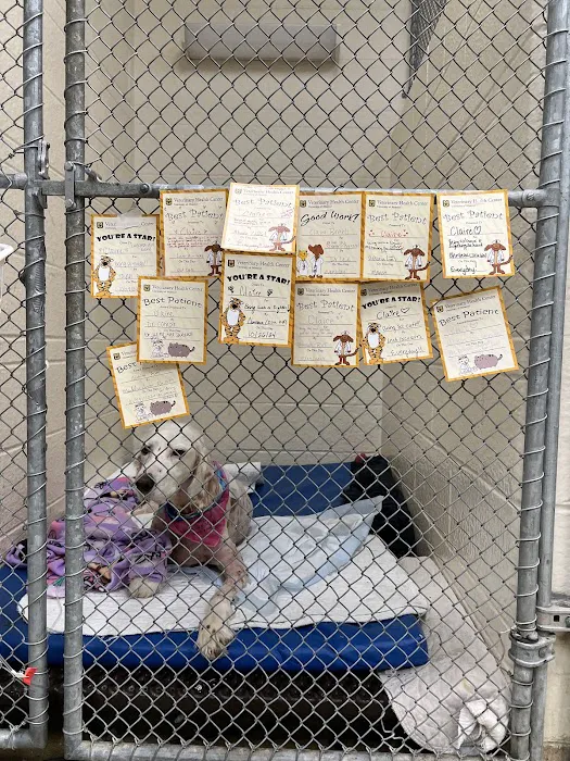 Mizzou Small Animal Hospital Picture 7