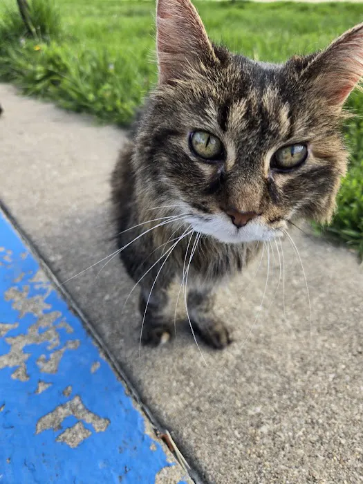 Mizzou Small Animal Hospital Picture 6