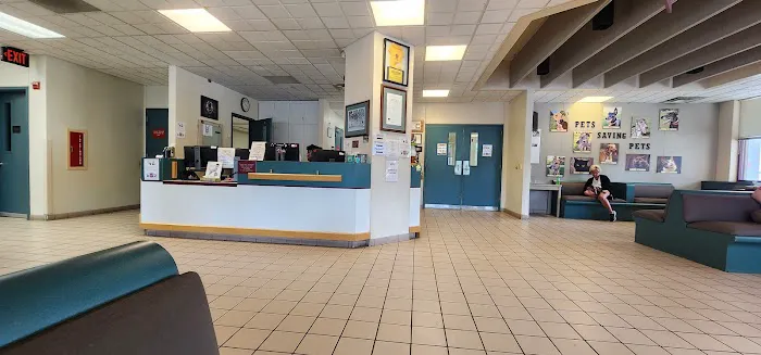 Veterinary Medical Teaching Hospital-Univ Of Missouri Picture 1