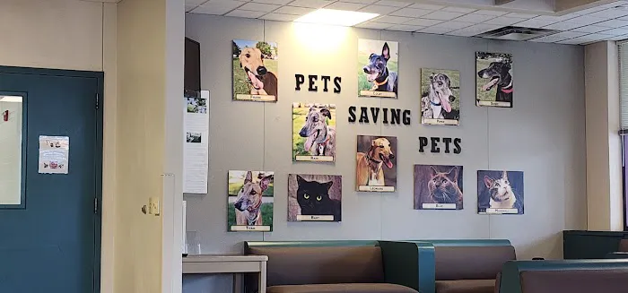 Veterinary Medical Teaching Hospital-Univ Of Missouri Picture 4