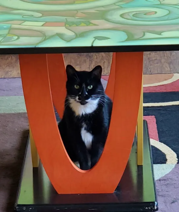 Veterinary Medical Teaching Hospital-Univ Of Missouri Picture 3