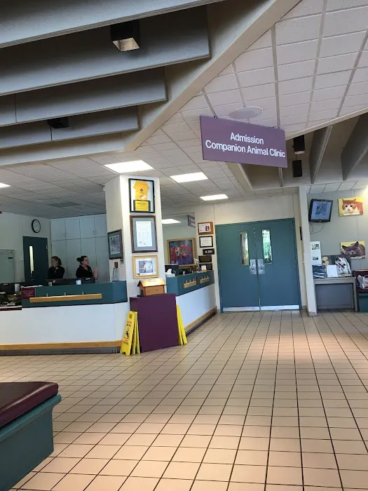 Companion Animal Clinic Picture 2