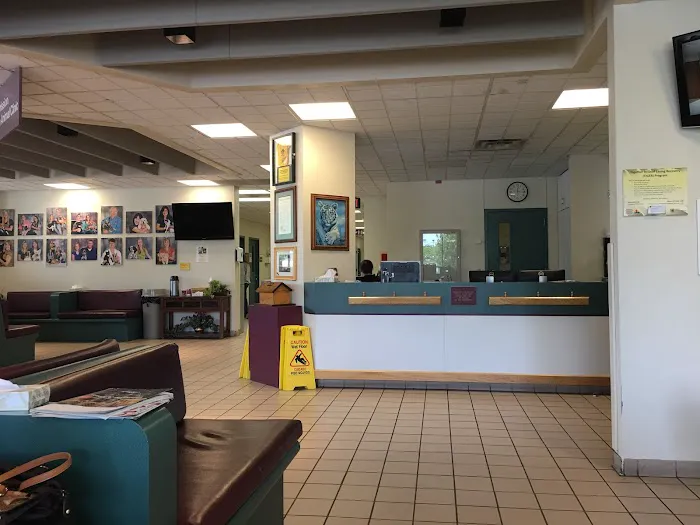 Companion Animal Clinic Picture 1