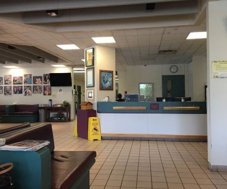 Companion Animal Clinic