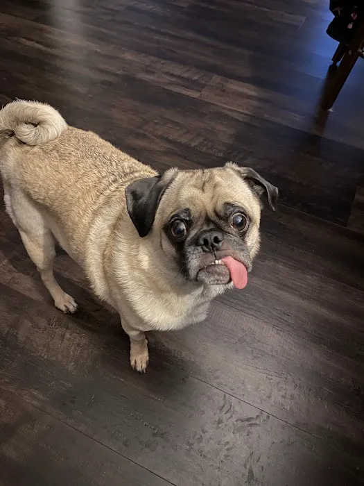 University of Missouri Veterinary Health Center Picture 3