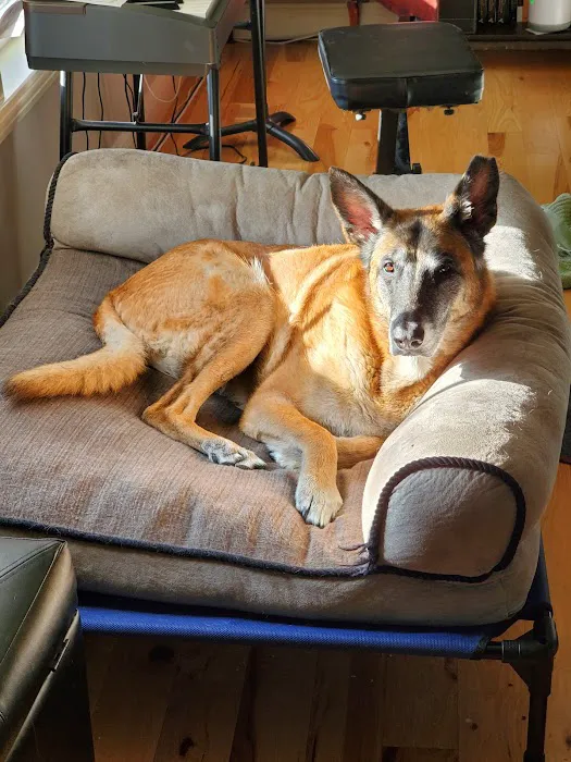 University of Missouri Veterinary Health Center Picture 2