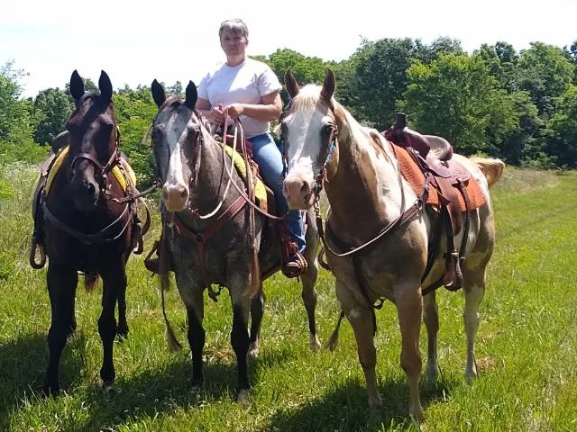 University of Missouri Veterinary Health Center Picture 4