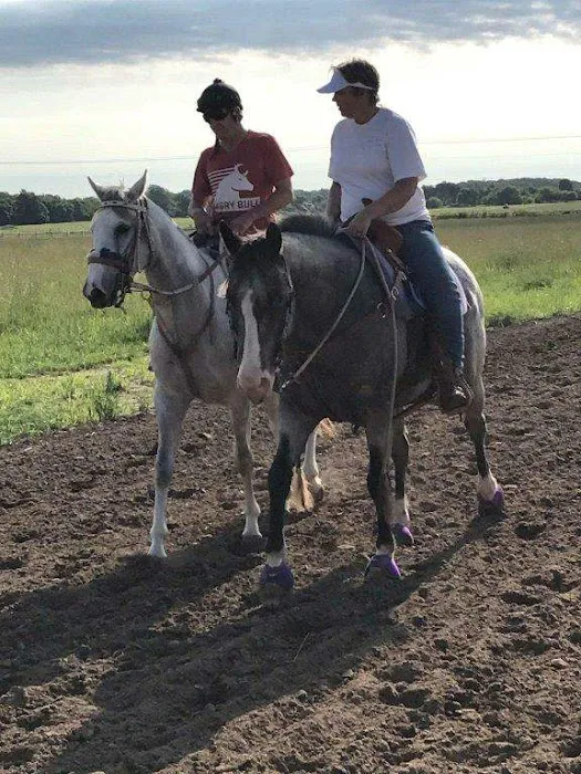 University of Missouri Veterinary Health Center Picture 5