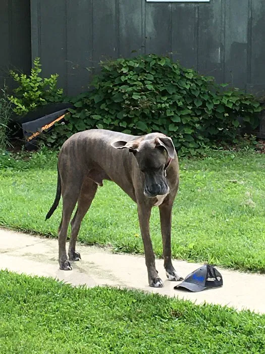 University of Missouri Veterinary Health Center Picture 6