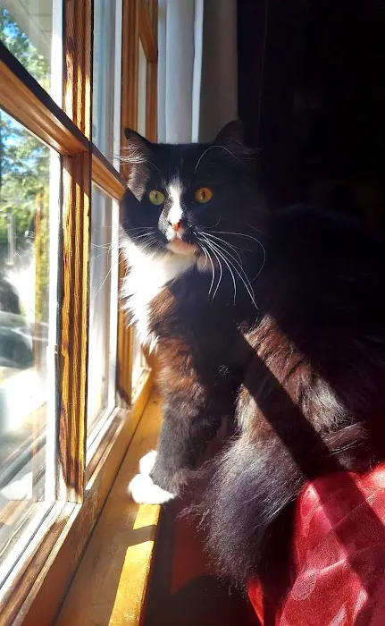 University of Missouri Veterinary Health Center Picture 8