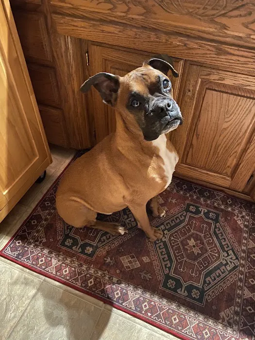 University of Missouri Veterinary Health Center Picture 10