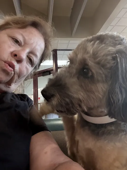 MU Veterinary hospital Picture 1