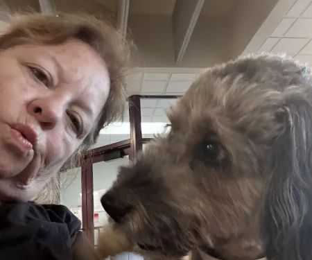 MU Veterinary hospital