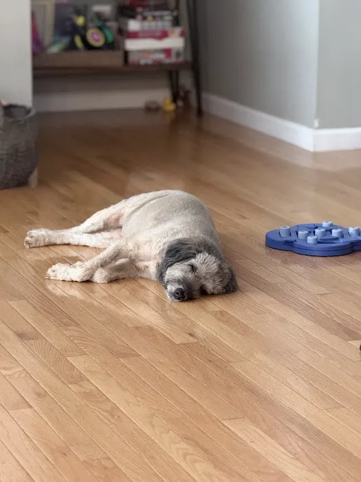 MU Veterinary hospital Picture 2