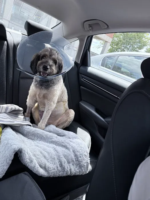 MU Veterinary hospital Picture 3