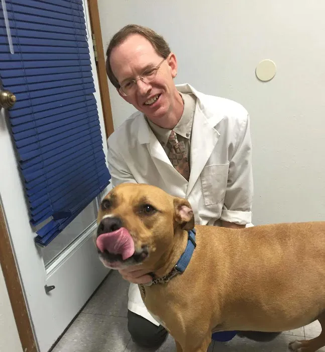 Pet Center Ltd Picture 6